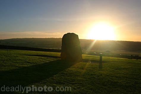 …dưới ánh nắng bình minh…