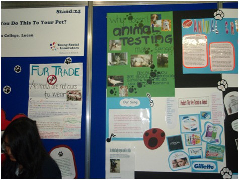 Dự án bảo vệ động vật