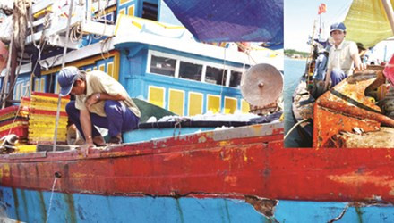 Chính phủ đang áp dụng nhiều chính sách mới hỗ trợ ngư dân yên tâm ra khơi đánh bắt.