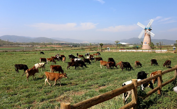 Trang trại organic tại Lâm Đồng, Đà Lạt – Trang trại Organic tiêu chuẩn châu Âu đầu tiên tại Việt Nam.