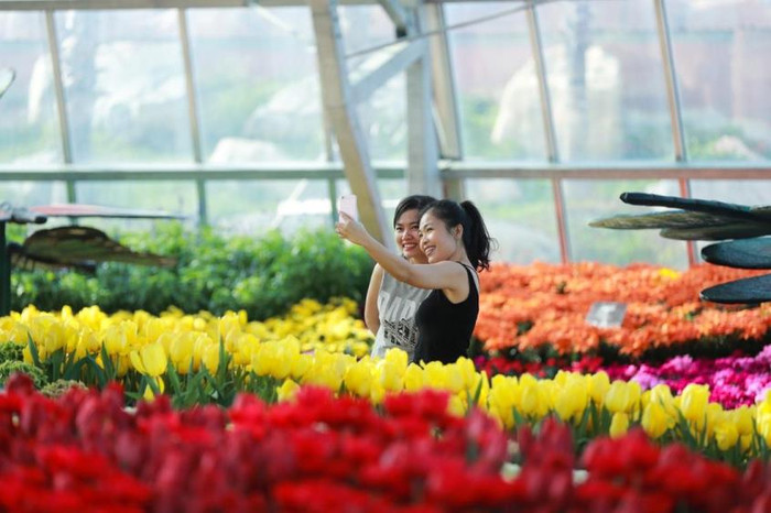 Lạc lối giữa khu vườn châu Âu thơ mộng. Lạc lối giữa khu vườn châu Âu thơ mộng.