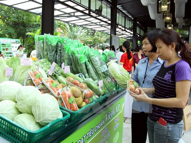 An toàn thực phẩm có ý nghĩa vô cùng quan trọng với các thế hệ tương lai của đất nước. ảnh: TTXVN. An toàn thực phẩm có ý nghĩa vô cùng quan trọng với các thế hệ tương lai của đất nước. ảnh: TTXVN.