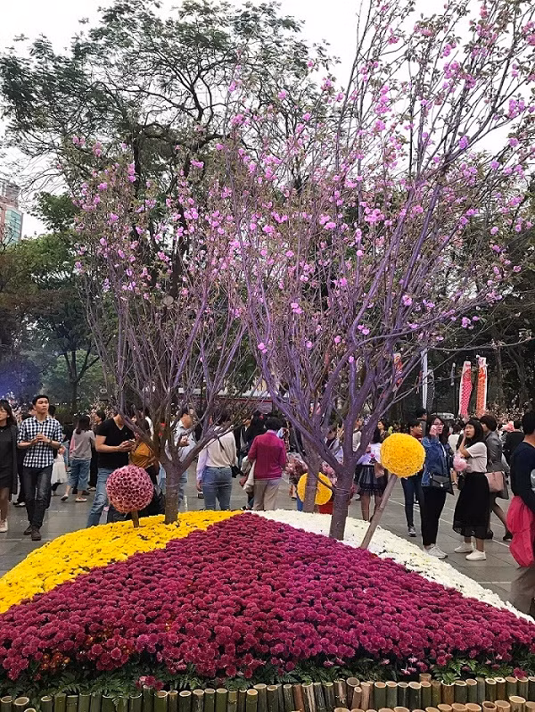 Những cây hoa Anh Đào luôn mang đến sự thích thú cho du khách. Những cây hoa Anh Đào luôn mang đến sự thích thú cho du khách.