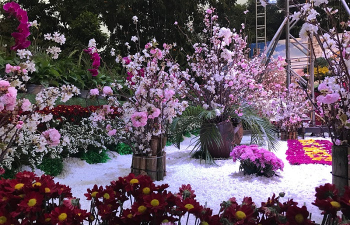 Những cành Anh Đào được sắp đặt tinh tế, khơi gợi cho người xem nhiều hứng thú. Những cành Anh Đào được sắp đặt tinh tế, khơi gợi cho người xem nhiều hứng thú.