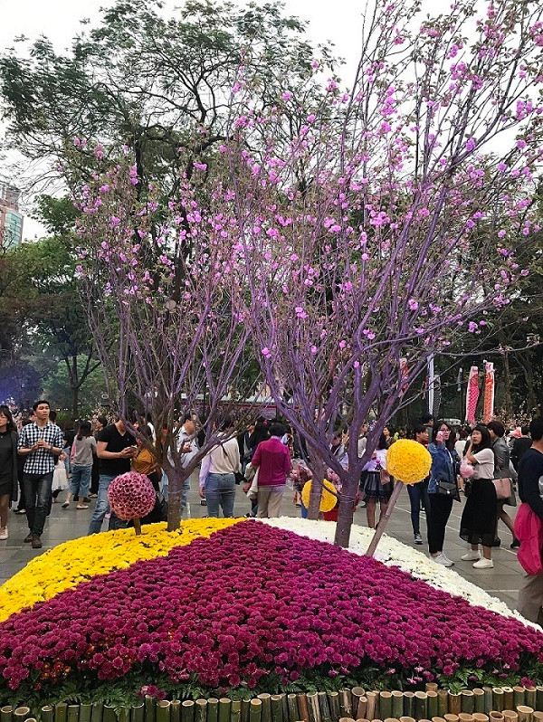 Những cây hoa Anh Đào luôn mang đến sự thích thú cho du khách. Những cây hoa Anh Đào luôn mang đến sự thích thú cho du khách.