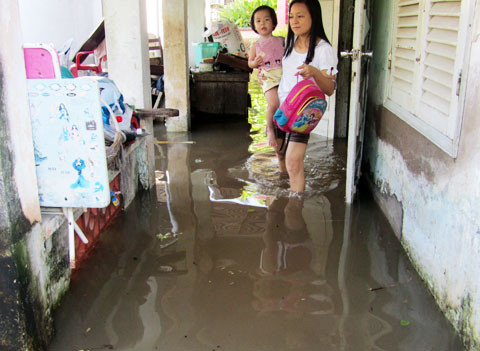 Theo TS,Khải, môi trường ở TP.HCM quá bận khiến cho dịch bệnh lan rộng