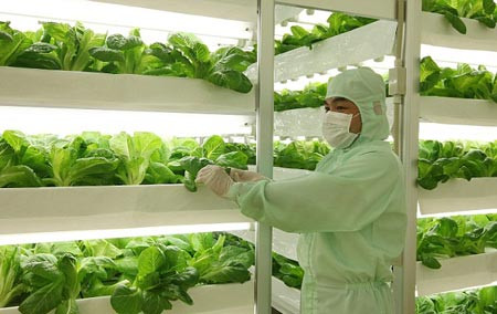 Thủ tướng yêu cầu tập trung xây dựng nền nông nghiệp chất lượng cao. ảnh: báo đầu tư. Thủ tướng yêu cầu tập trung xây dựng nền nông nghiệp chất lượng cao. ảnh: báo đầu tư.