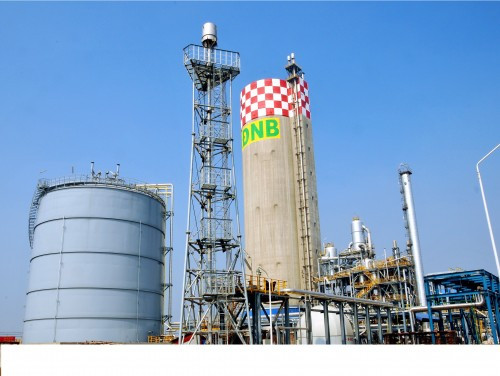 Nhà máy Đạm Ninh Bình lỗ hàng trăm tỷ, có cả bổ nhiệm sai quy trình ảnh 2