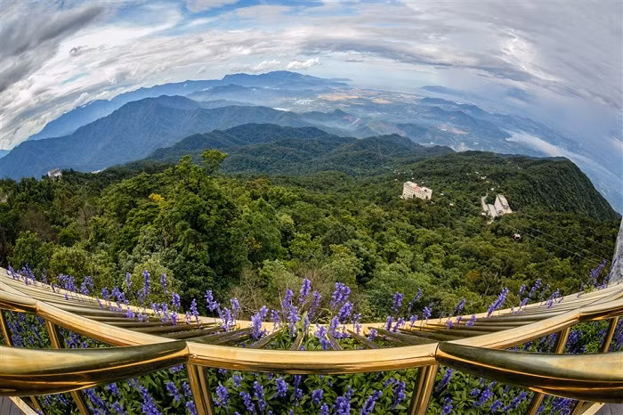Vườn hoa Le Jardin D’Amour của khu du lịch Bà Nà Hills.