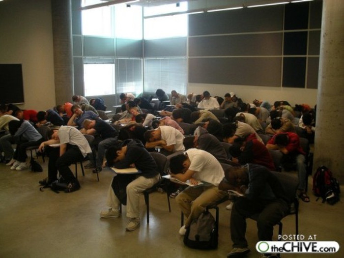 Có lẽ đây là lớp học đặc biệt dành cho những người thích...ngủ Có lẽ đây là lớp học đặc biệt dành cho những người thích...ngủ