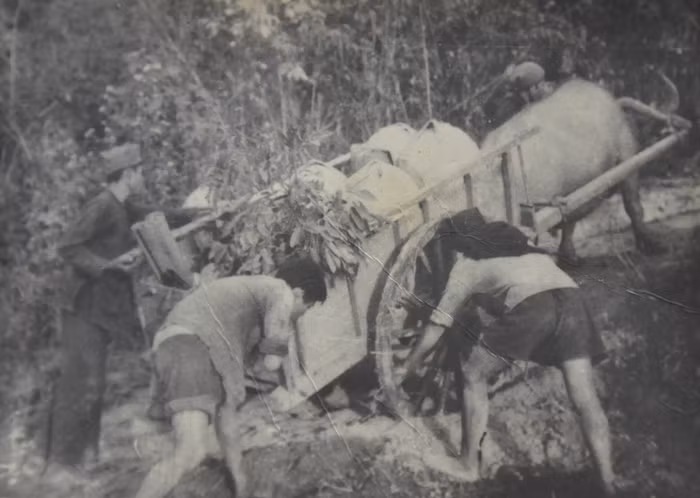 Hồi ức của Đại tướng Lê Trọng Tấn về trận Điện Biên Phủ bắt sống tướng Đờ Cát ảnh 5