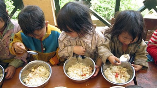 Ở vùng cao, có những bà mẹ chỉ có thể nộp được 5 nghìn đồng tiền thức ăn cho con trong một tháng. Thế nên những bữa cơm có thịt luôn là ước mơ xa xỉ của những đứa trẻ. Ở vùng cao, có những bà mẹ chỉ có thể nộp được 5 nghìn đồng tiền thức ăn cho con trong một tháng. Thế nên những bữa cơm có thịt luôn là ước mơ xa xỉ của những đứa trẻ.