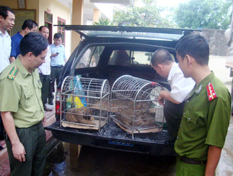 Tình trạng buôn bán trái pháp luật các loài động, thực vật hoang dã vẫn diễn biến phức tạp. ảnh: Công an nhân dân. Tình trạng buôn bán trái pháp luật các loài động, thực vật hoang dã vẫn diễn biến phức tạp. ảnh: Công an nhân dân.