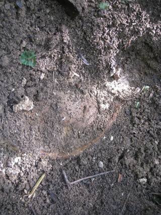 Thùng phi thuốc chứa hóa chất thuốc trừ sâu được chôn dưới lòng đất trong khuôn viên nhà máy Nicotex