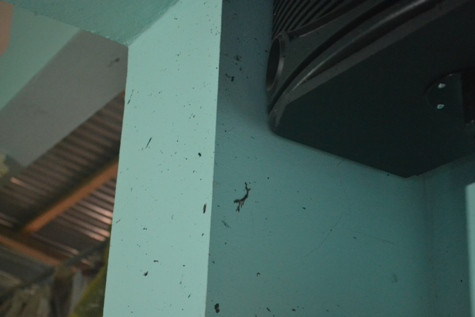 Một phần thi thể nạn nhân còn sót lại trên tường