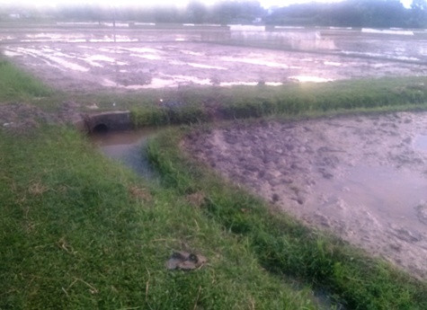 Hiện trường vụ sét đánh khiến 1 người chết, 3 người bị thương