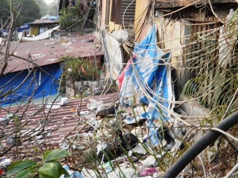 Vì không mặt bằng, nhiều hộ dân đã tiện tay tuồn thẳng rác sinh hoạt xuống phần mái tự chế của khu chung cư