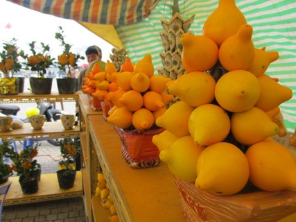 Mâm quả Phúc lộc hoàng kim xuất xứ từ Quảng Châu (Trung Quốc) được nhiều người đặc biệt chú ý vì lần đầu tiên xuất hiện trên thị trường nội địa