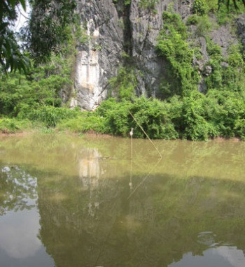 Ảnh minh họa Ảnh minh họa