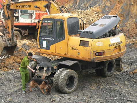 Lực lượng tìm kiếm sử dụng chó nghiệp vụ để gia tăng cơ hội tìm thấy các nạn nhân. Ảnh: Ngọc Khánh Lực lượng tìm kiếm sử dụng chó nghiệp vụ để gia tăng cơ hội tìm thấy các nạn nhân. Ảnh: Ngọc Khánh