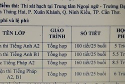 Cần đồng nhất các văn bằng, chứng chỉ khi tuyển dụng giáo viên ảnh 3 Cần đồng nhất các văn bằng, chứng chỉ khi tuyển dụng giáo viên ảnh 3