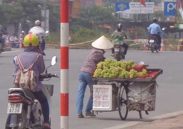 Xe hàng nối tiếp nhau bán nho rẻ trên đường Hồ Tùng Mậu. Ảnh: Nguyễn Quân.