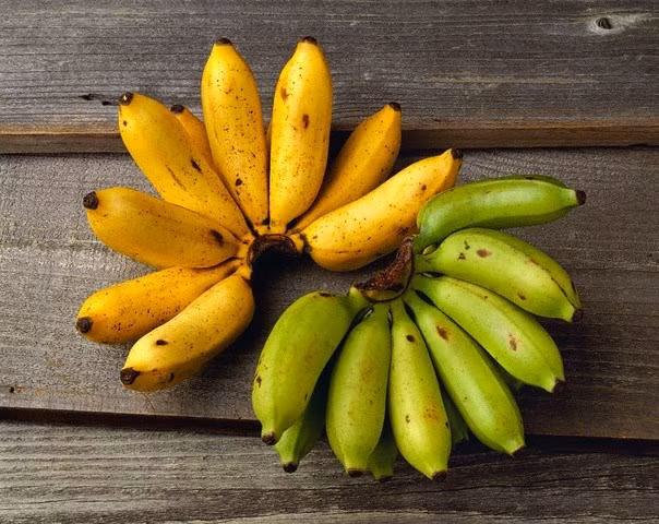 Chuối được ngâm hóa chất và chuối chín tự nhiên nhìn có sự khác biệt về màu sắc