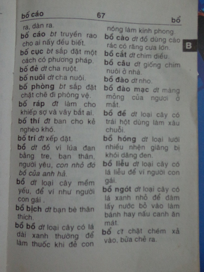 Bồ bịch được định nghĩa là ... bạn bè thân thích. Ảnh: Nguyễn Quân