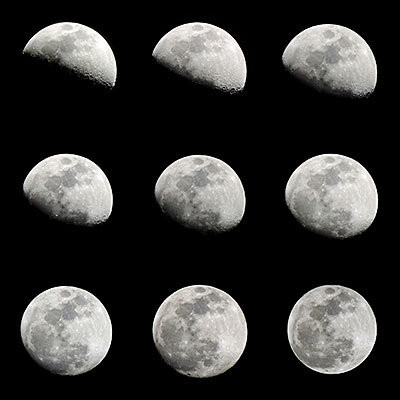 Chu kỳ rụng trứng hàng tháng của bạn nói lên vấn đề thụ thai. Chu kỳ rụng trứng hàng tháng của bạn nói lên vấn đề thụ thai.