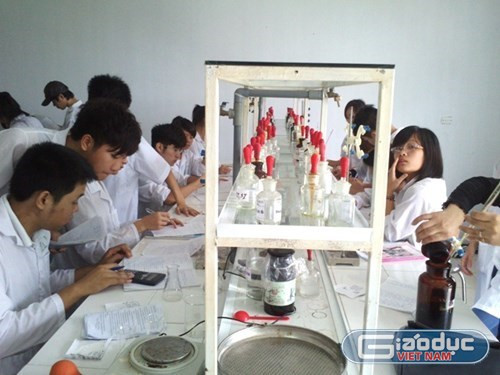 Hình ảnh minh họa cho việc đào tạo, hướng nghiệp, dạy nghề cho học viên (Ảnh: giaoduc.net.vn)