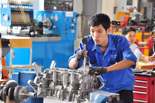 Trường nghề đào tạo không đủ đáp ứng nhân lực cho doanh nghiệp ảnh 2