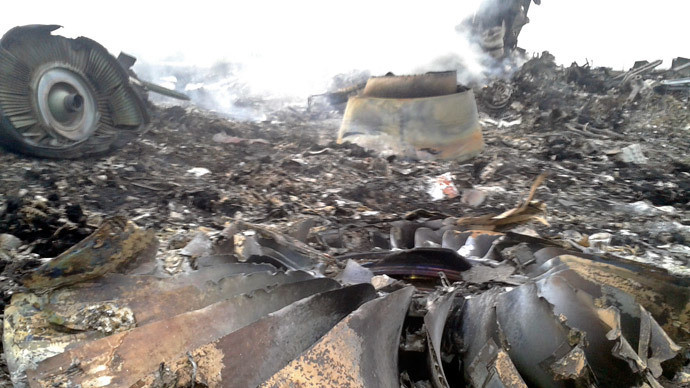 Hiện trường chiếc MH17 bị bắn rơi.