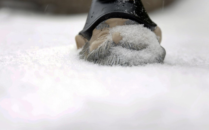 Một góc St. Louis. Một góc St. Louis.
