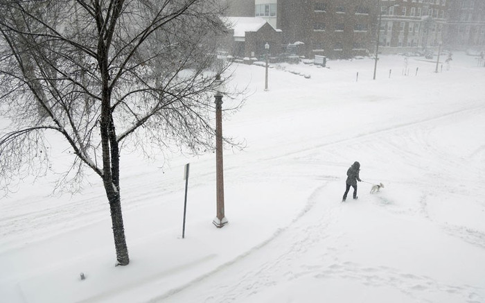 Một vụ nữ dẫn chó đi dạo trên con đường mênh mông tuyết trắng ở St. Louis. Một vụ nữ dẫn chó đi dạo trên con đường mênh mông tuyết trắng ở St. Louis.