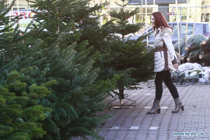 Cô gái Romania hào hứng khi nhìn thấy những cây thông trang trí.