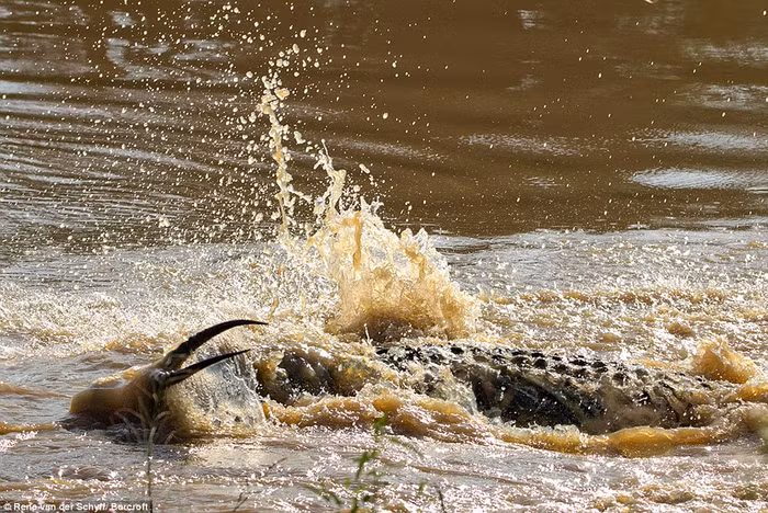 Cảnh tượng này xảy ra hôm 2/2/2014.