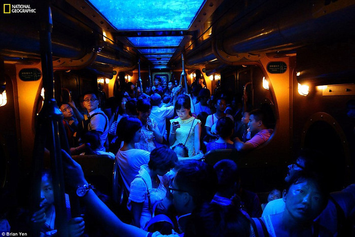 Bức ảnh cô gái trên tàu điện của Brian Yen được đánh giá là một bản tuyên bố về công nghệ, cuộc sống hiện đại và cách tiến bộ đã ảnh hưởng đến cuộc sống của chúng ta. Theo tác giả, cảnh cô gái đứng trên chuyến tàu đông đúc nhưng bình thản và như con sâu bướm đang thoát khỏi hiện thực tồi tệ nhờ chiếc điện thoại truy cập được mạng xã hội. Bức ảnh cô gái trên tàu điện của Brian Yen được đánh giá là một bản tuyên bố về công nghệ, cuộc sống hiện đại và cách tiến bộ đã ảnh hưởng đến cuộc sống của chúng ta. Theo tác giả, cảnh cô gái đứng trên chuyến tàu đông đúc nhưng bình thản và như con sâu bướm đang thoát khỏi hiện thực tồi tệ nhờ chiếc điện thoại truy cập được mạng xã hội.