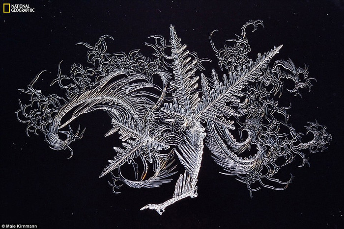 Nghệ thuật điêu khắc được thể hiện trên một cửa sổ ở bắc Estonia. Nghệ thuật điêu khắc được thể hiện trên một cửa sổ ở bắc Estonia.