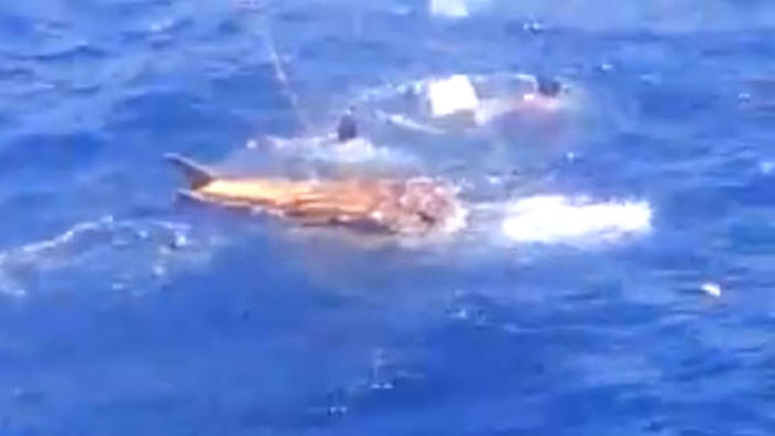 Ba người đàn ông trôi nổi trên biển liên tiếp bị bắn. Ba người đàn ông trôi nổi trên biển liên tiếp bị bắn.