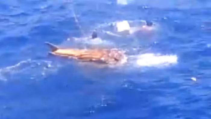 Ba người đàn ông trôi nổi trên biển liên tiếp bị bắn.