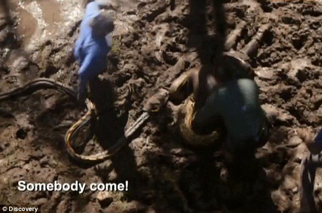 Nhóm cứu hộ đến giải cứu sau khi nhận được tín hiệu của Roroslie.