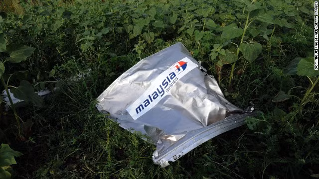 Sự kiện bắn rơi MH17 đã làm chấn động quốc tế.