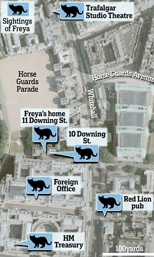 Sơ đồ những nơi nhạy cảm mèo Freya đã đi dạo những tháng gần đây.