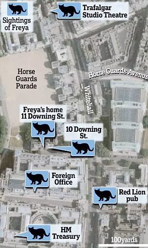 Sơ đồ những nơi nhạy cảm mèo Freya đã đi dạo những tháng gần đây.