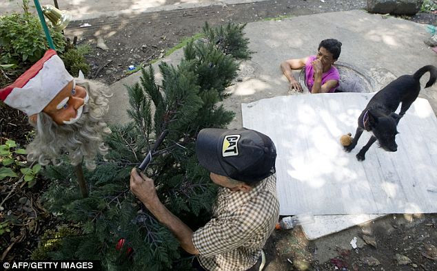 Vợ chồng ông bà Restrepo trang trí một cây thông trong dịp Noel ngay cạnh lối xuống cống ngầm. Vợ chồng ông bà Restrepo trang trí một cây thông trong dịp Noel ngay cạnh lối xuống cống ngầm.