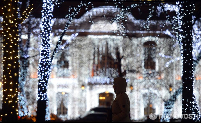 Những thân cây trụi lá mùa đông được thắp sáng bằng hàng ngàn bóng đèn nhỏ, nhấp nháy trong đêm. Những thân cây trụi lá mùa đông được thắp sáng bằng hàng ngàn bóng đèn nhỏ, nhấp nháy trong đêm.