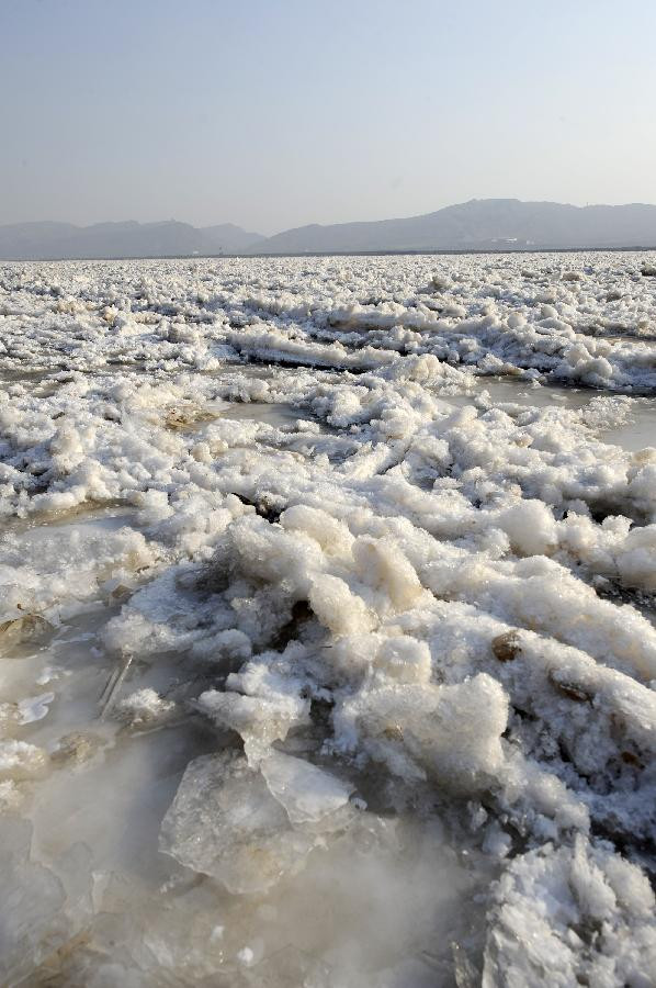 Những con sóng trên sông Hoàng Hà cũng hóa băng hôm 5/1. Những con sóng trên sông Hoàng Hà cũng hóa băng hôm 5/1.