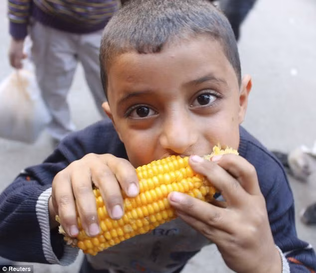 Trẻ em Syria đang là những nạn nhân lớn nhất của cuộc xung đột tại quốc gia này. Trẻ em Syria đang là những nạn nhân lớn nhất của cuộc xung đột tại quốc gia này.