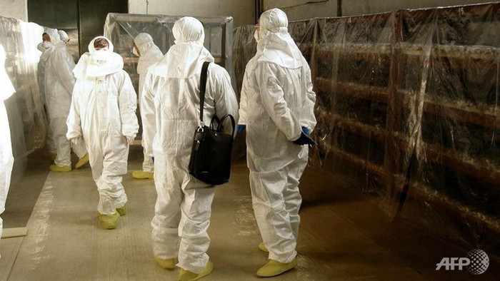 Các thanh tra quốc tế tại một cơ sở hạt nhân của Triều Tiên. Các thanh tra quốc tế tại một cơ sở hạt nhân của Triều Tiên.