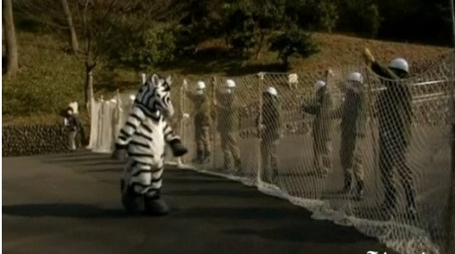 Con ngựa vằn giả đang tìm cách thoát khỏi hàng rào lưới khổng lồ. Con ngựa vằn giả đang tìm cách thoát khỏi hàng rào lưới khổng lồ.